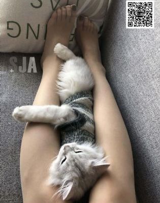 粉嫩国产ktⅴ在线学生_DVD高清视频播放