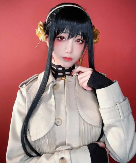 久草视频免费在线观看_高清在线观看电视