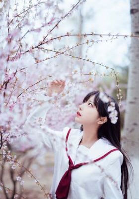 日本理论一区_HD免费观看电视剧